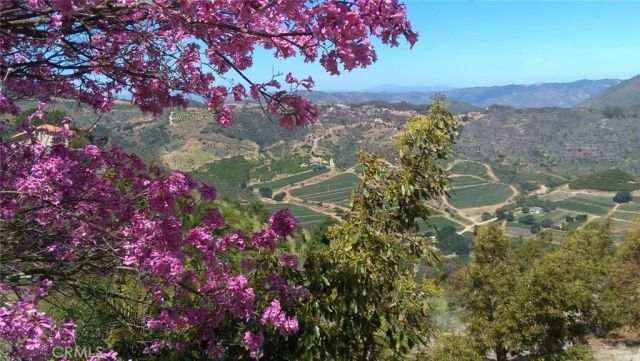 13952 Pauma Vista, Valley Center, CA 92082