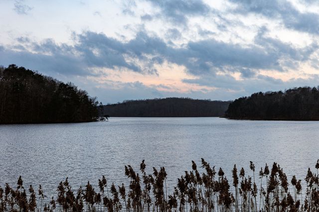 0 Captain Carter Rd, Spencer, TN 38585