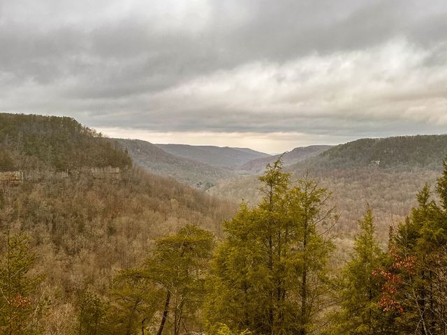 0 Captain Carter Rd, Spencer, TN 38585