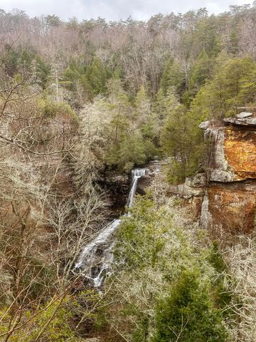 0 Captain Carter Rd, Spencer, TN 38585