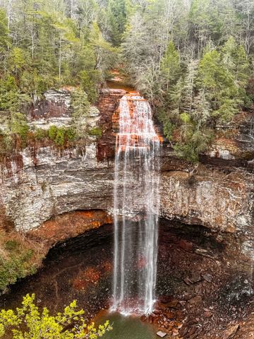 0 Captain Carter Rd, Spencer, TN 38585