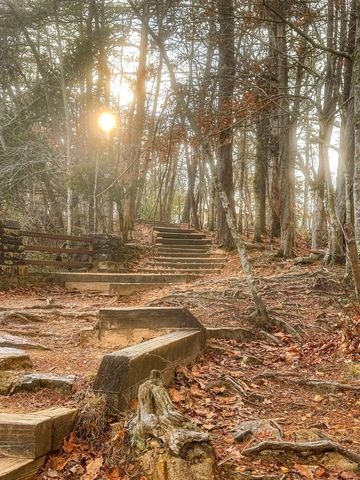 0 Captain Carter Rd, Spencer, TN 38585