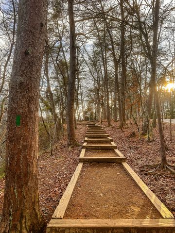 0 Captain Carter Rd, Spencer, TN 38585