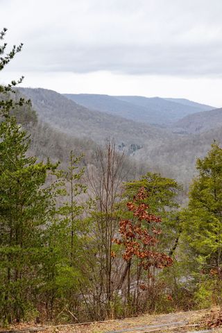 0 Captain Carter Rd, Spencer, TN 38585