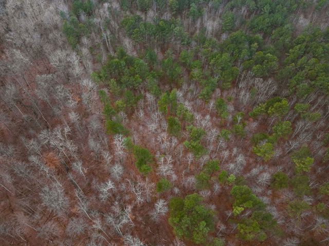 0 Captain Carter Rd, Spencer, TN 38585