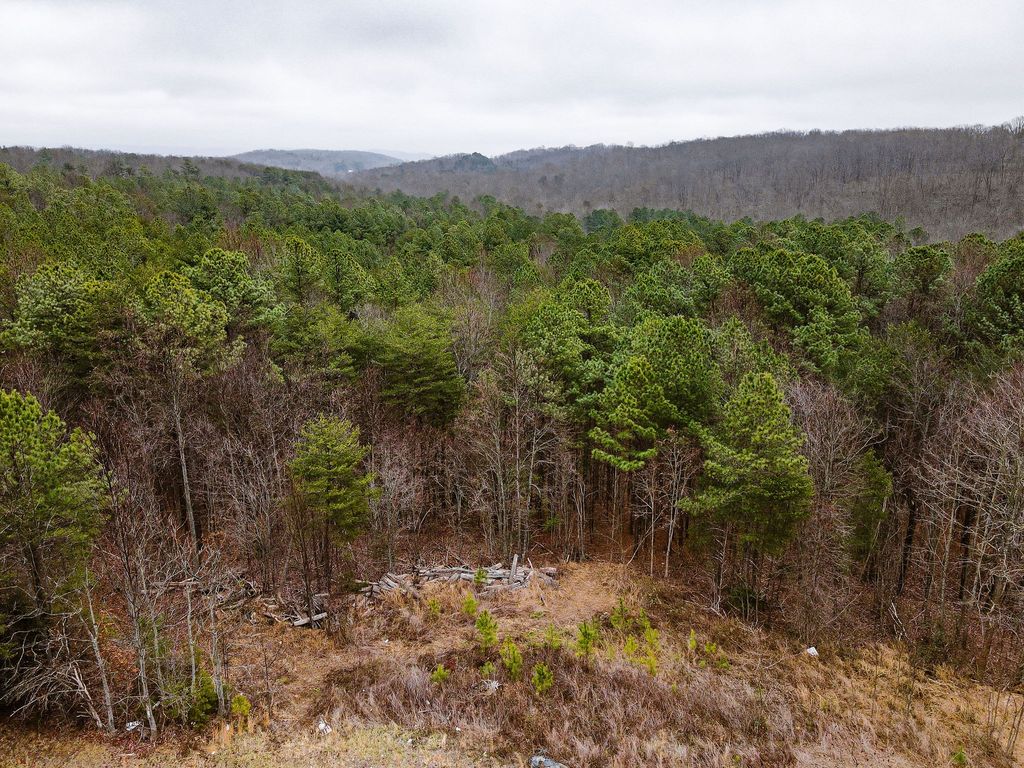 0 Captain Carter Rd, Spencer, TN 38585