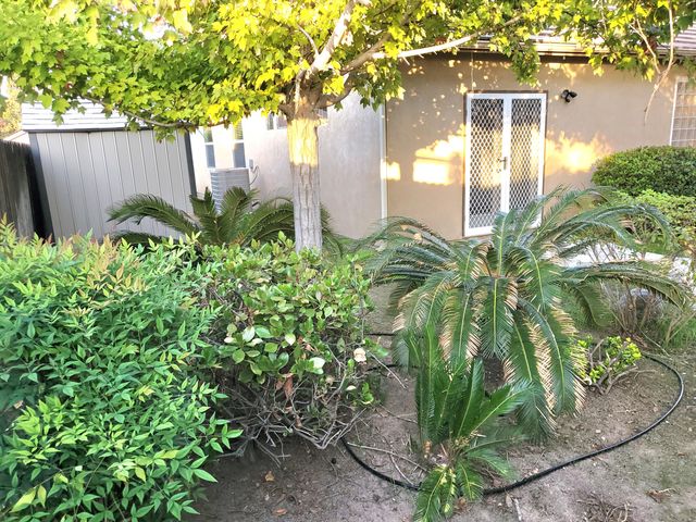 2447 S Beech Drive, Visalia, CA 93292