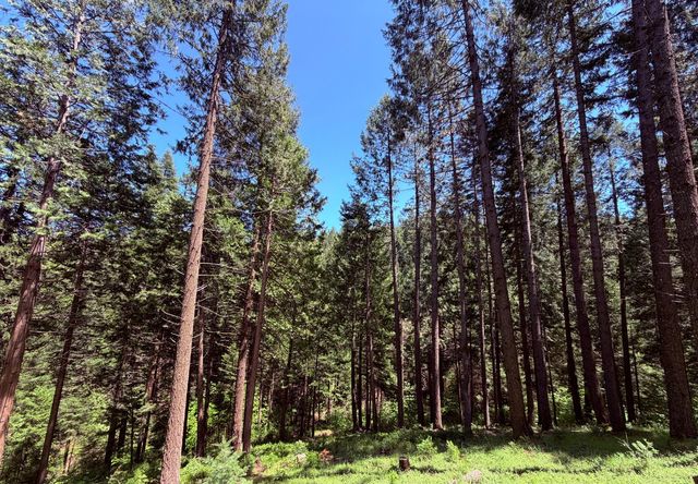 6105 Little Mountain Rd, Somerset, CA 95684