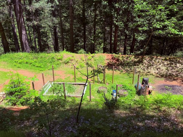 6105 Little Mountain Rd, Somerset, CA 95684