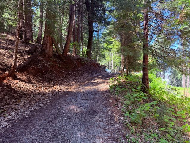 6105 Little Mountain Rd, Somerset, CA 95684
