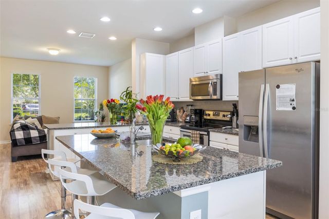 11933 WATER RUN ALLEY, Windermere, FL 34786