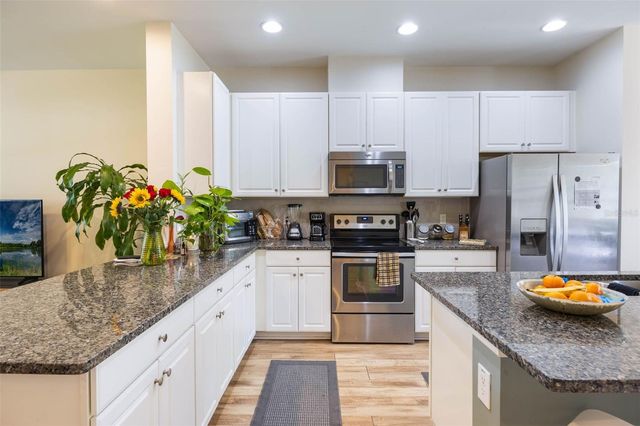 11933 WATER RUN ALLEY, Windermere, FL 34786