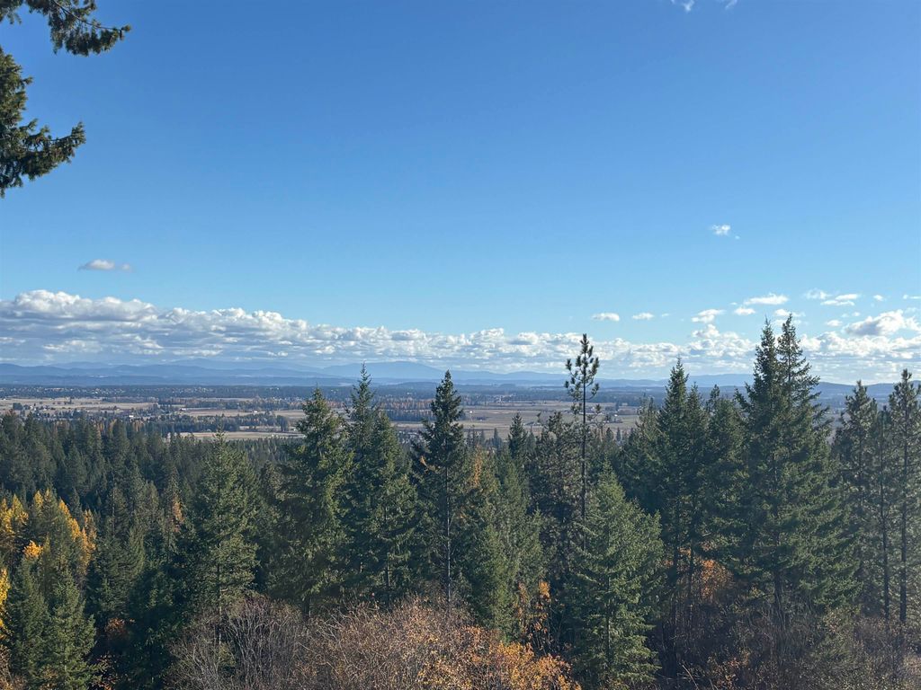 4746 Furze Rd, Clayton, WA 99110 photo 3