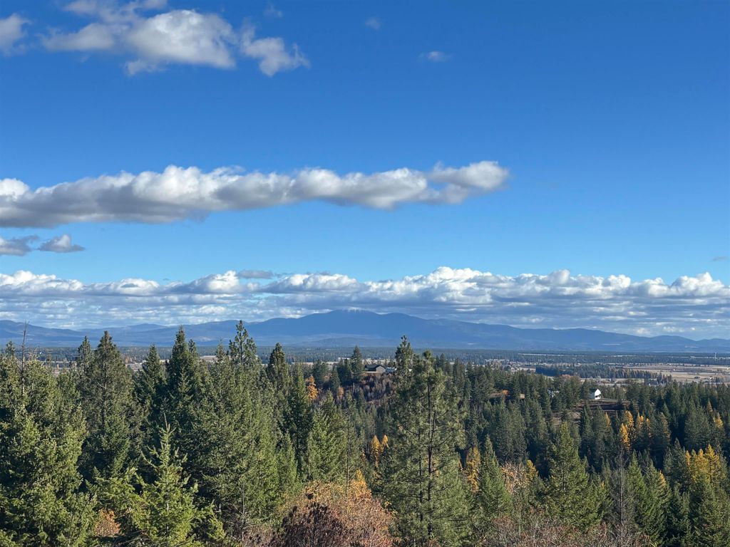 4746 Furze Rd, Clayton, WA 99110 photo 4