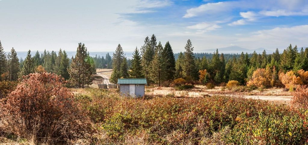 4746 Furze Rd, Clayton, WA 99110 photo 47