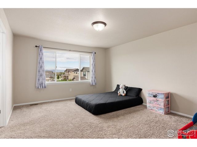 1205 Muskox St, Severance, CO 80550