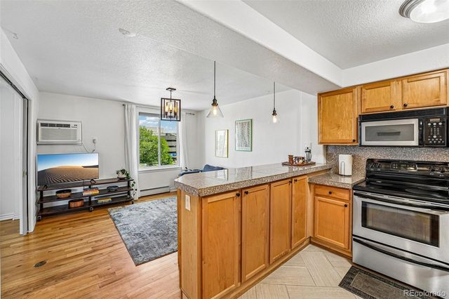 1833 N Williams Street 504, Denver, CO 80218
