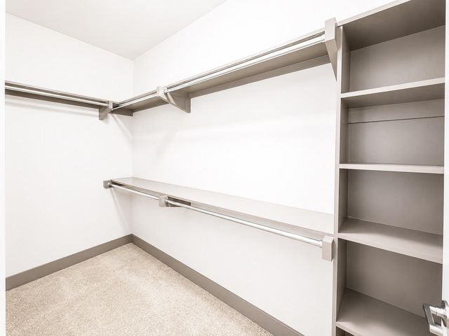 2910 Milam St Street 1431, Houston, TX 77006