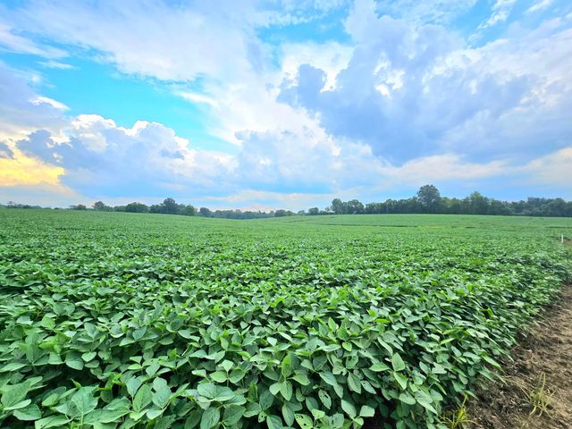 0003 County Road 26, Marengo, OH 43334