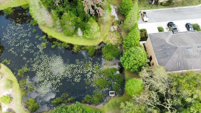 8301 PINE RIVER ROAD, Tampa, FL 33637