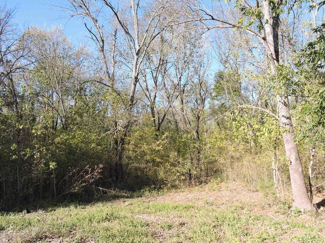 330 County Road 2975, Honey Grove, TX 75446