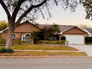 16713 NE SHEFFIELD PARK DR, STREET, Lutz, FL 33549