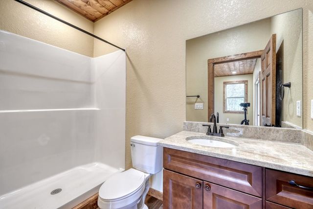 246 Brasstown Acres Drive, Brasstown, NC 28902