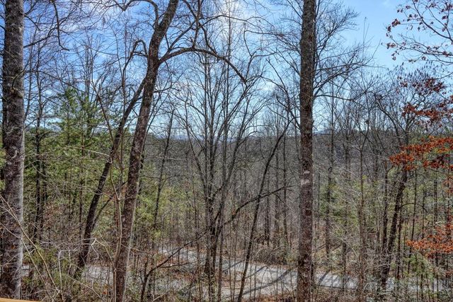 246 Brasstown Acres Drive, Brasstown, NC 28902