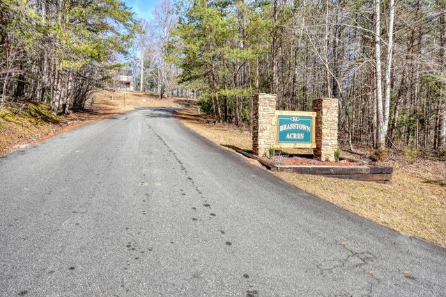 246 Brasstown Acres Drive, Brasstown, NC 28902