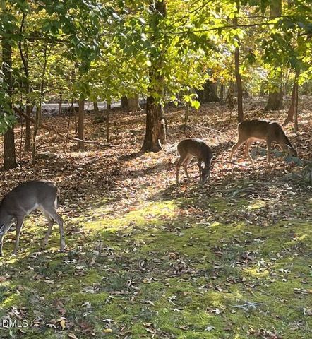 480 Beechmast, Pittsboro, NC 27312