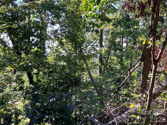 00 Tyler Terrace Lot 11, Rutherfordton, NC 28139