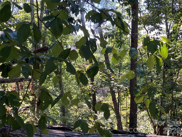 00 Tyler Terrace Lot 11, Rutherfordton, NC 28139