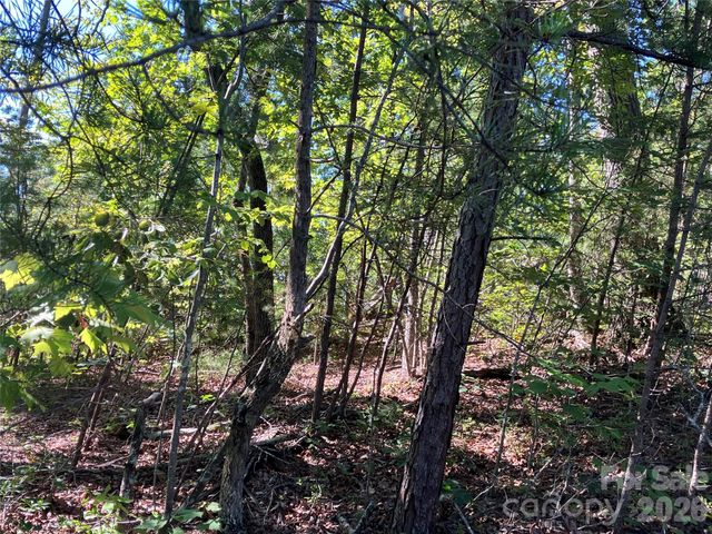 00 Tyler Terrace Lot 11, Rutherfordton, NC 28139
