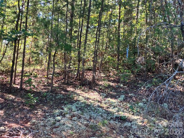 00 Tyler Terrace Lot 11, Rutherfordton, NC 28139