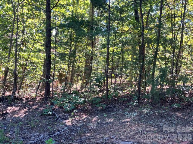 00 Tyler Terrace Lot 11, Rutherfordton, NC 28139