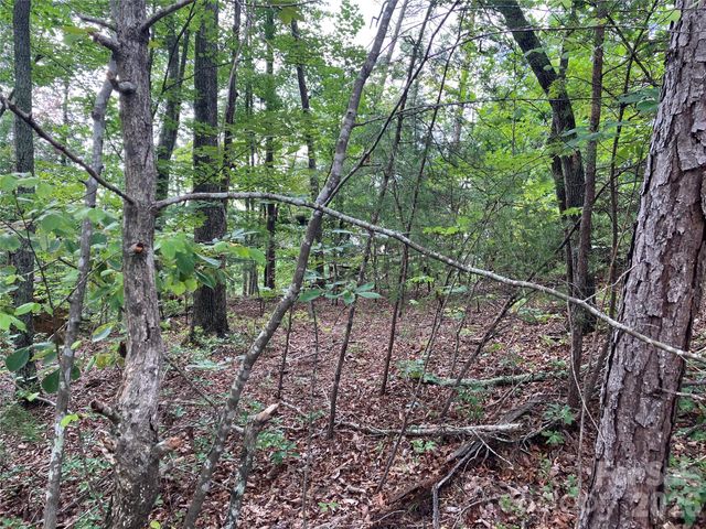 00 Tyler Terrace Lot 11, Rutherfordton, NC 28139