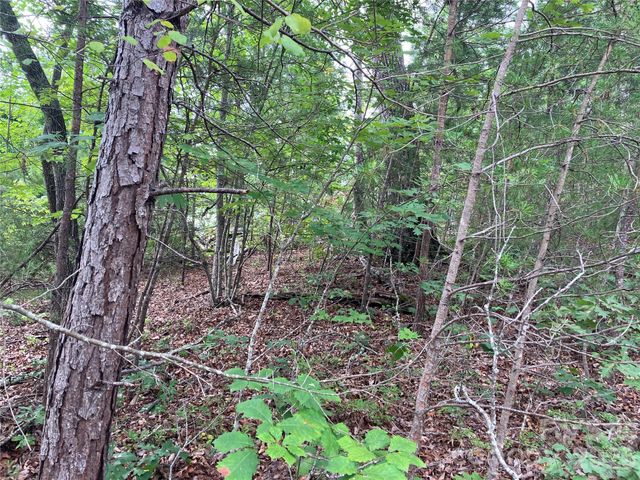 00 Tyler Terrace Lot 11, Rutherfordton, NC 28139