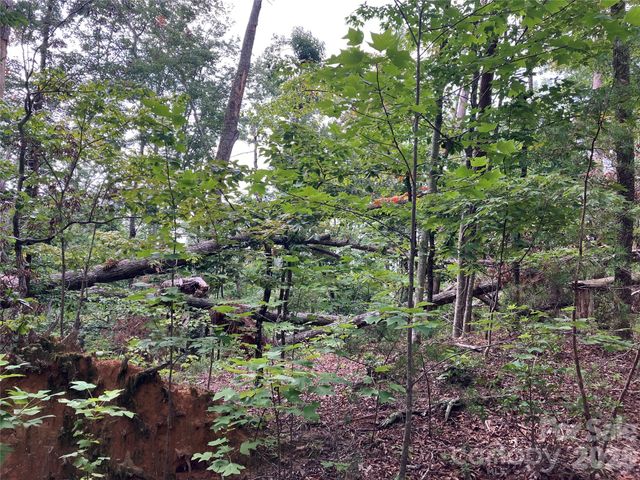00 Tyler Terrace Lot 11, Rutherfordton, NC 28139