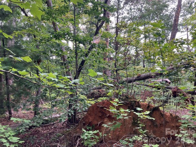 00 Tyler Terrace Lot 11, Rutherfordton, NC 28139