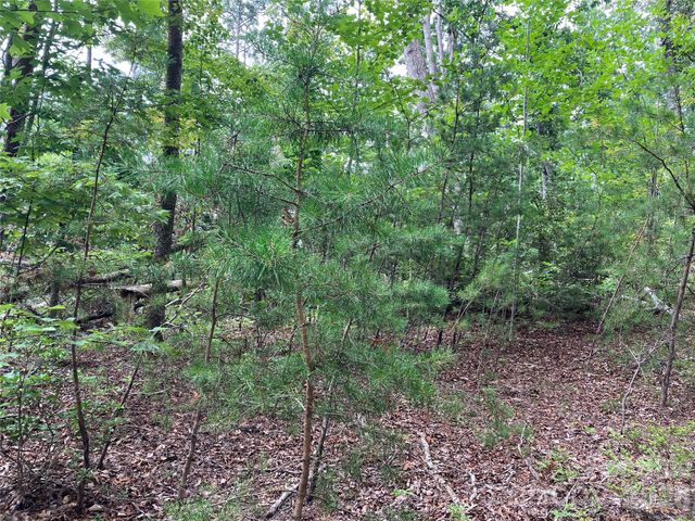 00 Tyler Terrace Lot 11, Rutherfordton, NC 28139