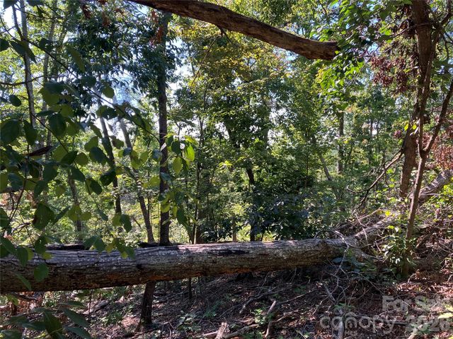 00 Tyler Terrace Lot 11, Rutherfordton, NC 28139