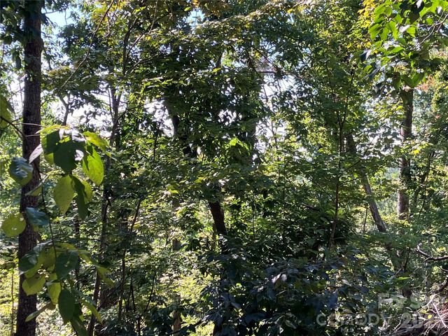 00 Tyler Terrace Lot 11, Rutherfordton, NC 28139