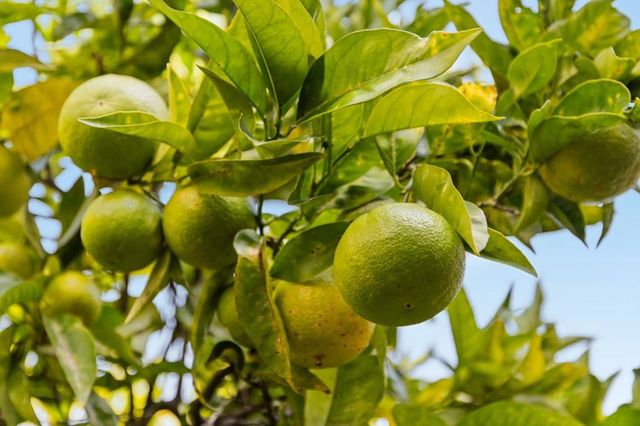 229 Marvilla Circle, Pacifica, CA 94044