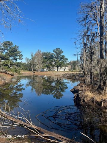 7293 Highway 90, Grand Ridge, FL 32442