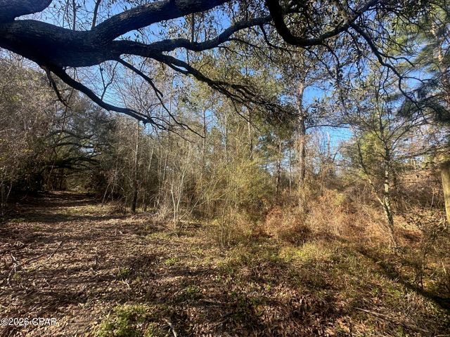 7293 Highway 90, Grand Ridge, FL 32442