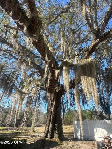 7293 Highway 90, Grand Ridge, FL 32442