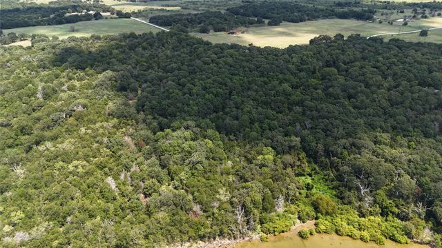 Tract 2 SE County Road 3230, Kerens, TX 75144