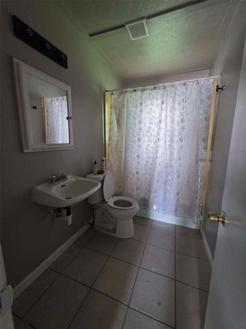 10101 Chadwick Street, San Jacinto, TX 77029