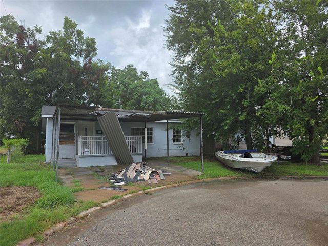 10101 Chadwick Street, San Jacinto, TX 77029