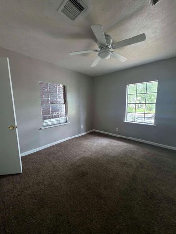 10101 Chadwick Street, San Jacinto, TX 77029